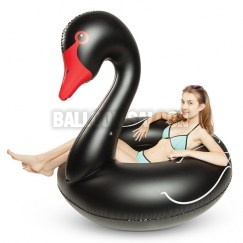 Black_Swan_Float_Action_RGB