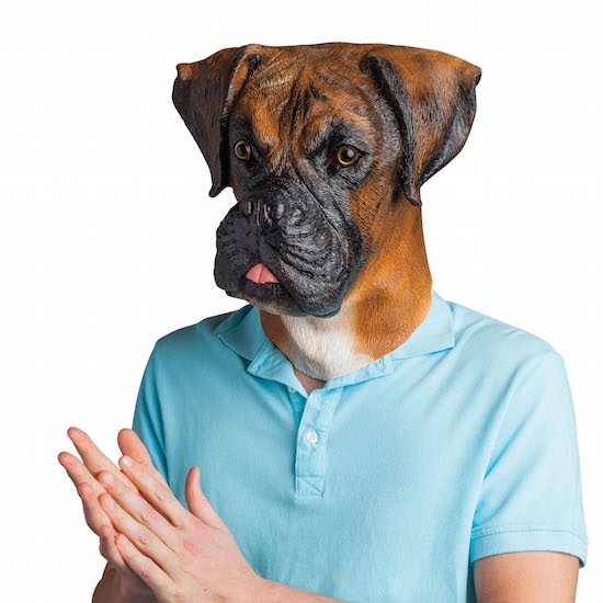 DISGUISES Boxer Dog Mask