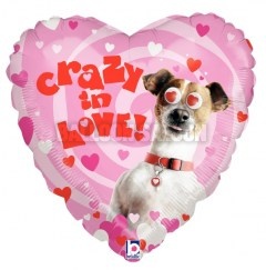 14024-22-inches-Crazy-In-Love-Dog-Google-Eyes-balloons