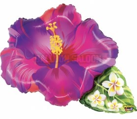 hibiscus