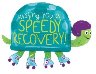recoveryturtle
